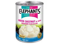 Water chestnut in water 540 g