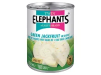 Green Jackfruit in brine 540 g