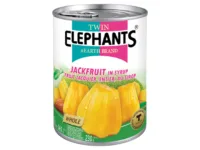 Jackfruit in syrup 565 g
