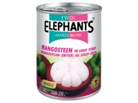 Mangosteen in Light Syrup 565g