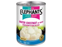 Water chestnut in water 540 g