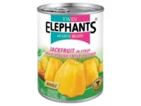Jackfruit in syrup 565 g